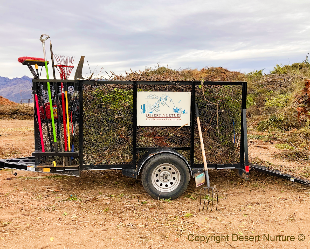 Desert Nurture | Eco-Friendly Landscaping project