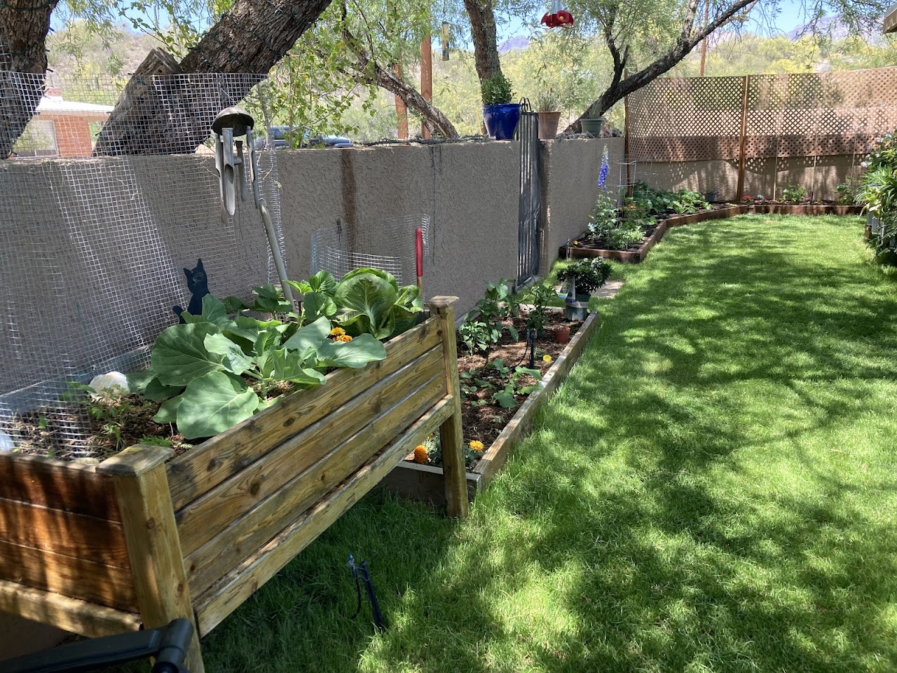 Desert Nurture | Eco-Friendly Landscaping project