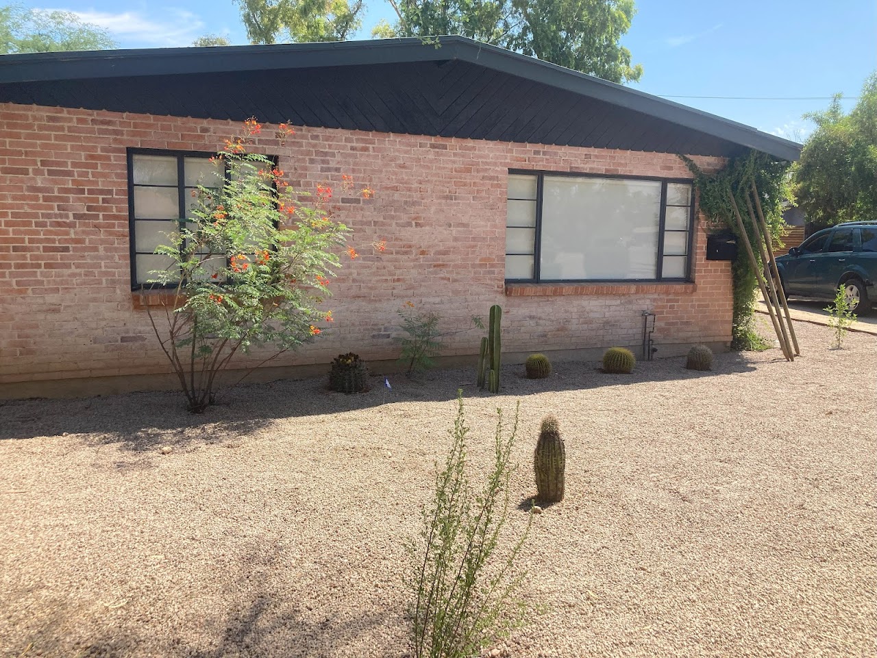 Desert Nurture | Eco-Friendly Landscaping project